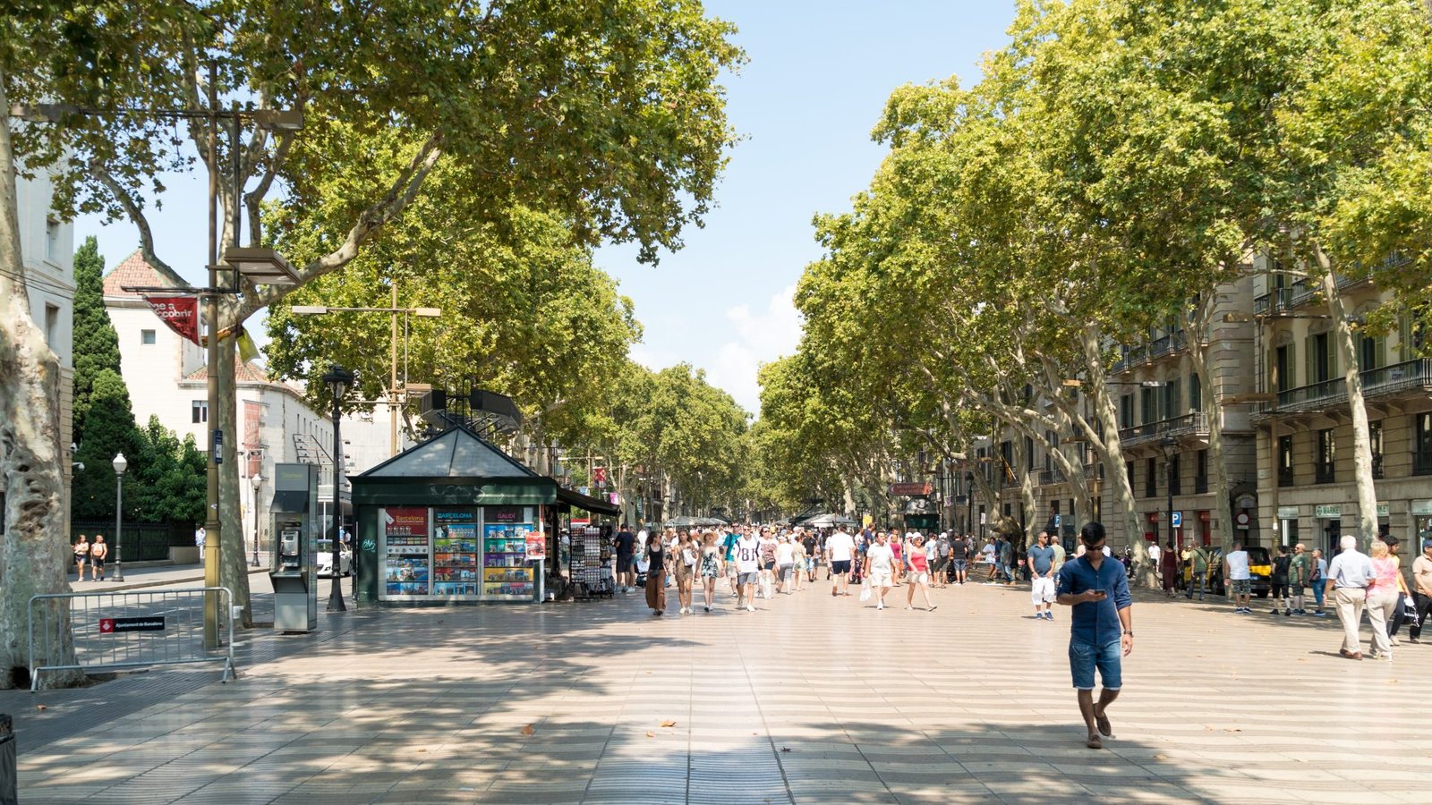 Ley apoyo a la actividad económica