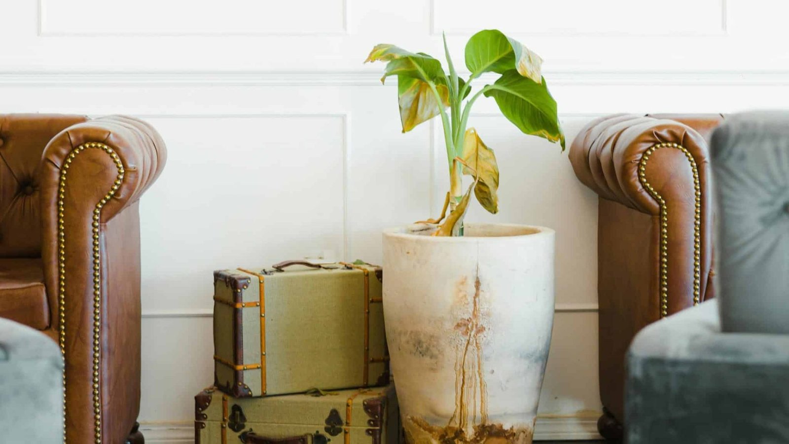 pexels-dantemunozphoto-15268816